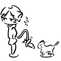 猫春雨